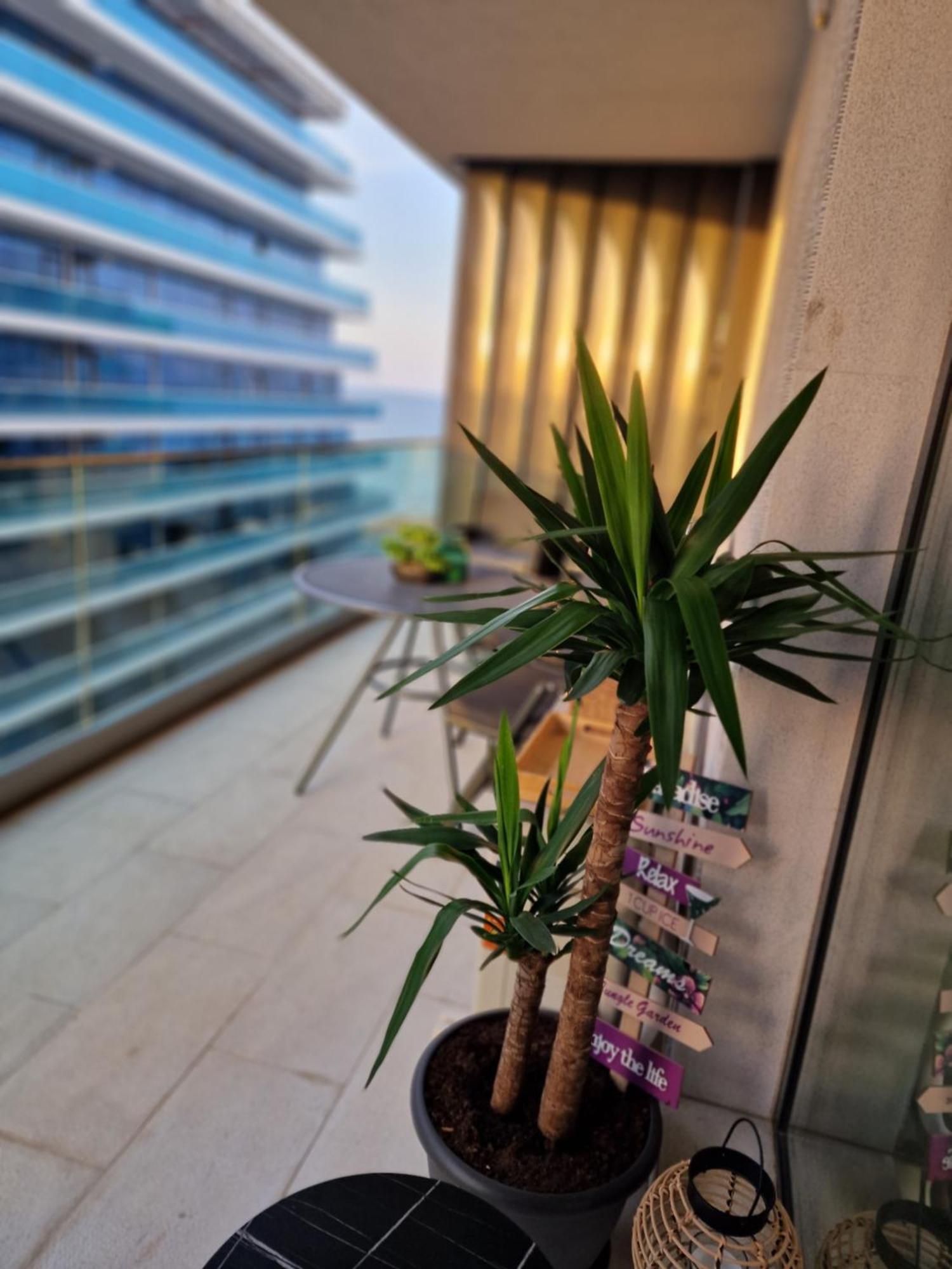 Apartment Compas Mamaia Nord